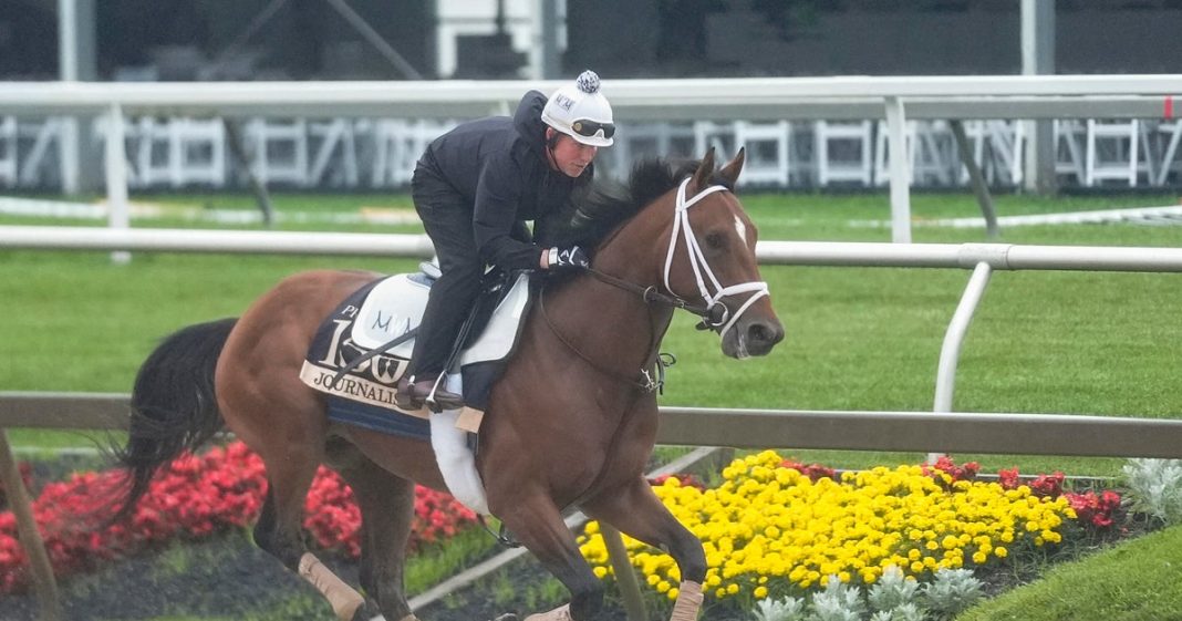Meet the Preakness Stakes horses running in the 2025 race