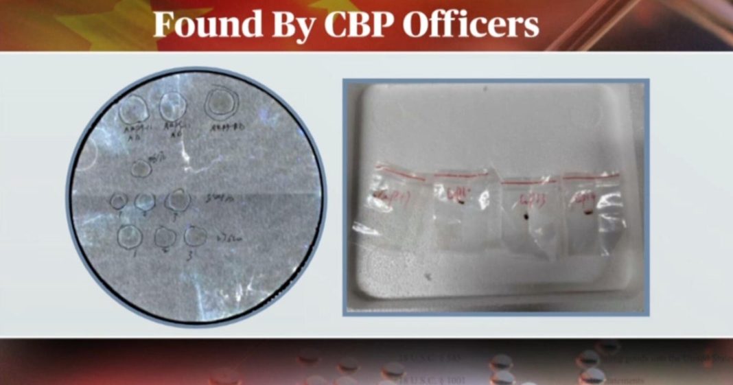 Toxic fungus smuggling case highlights safety issues facing research labs